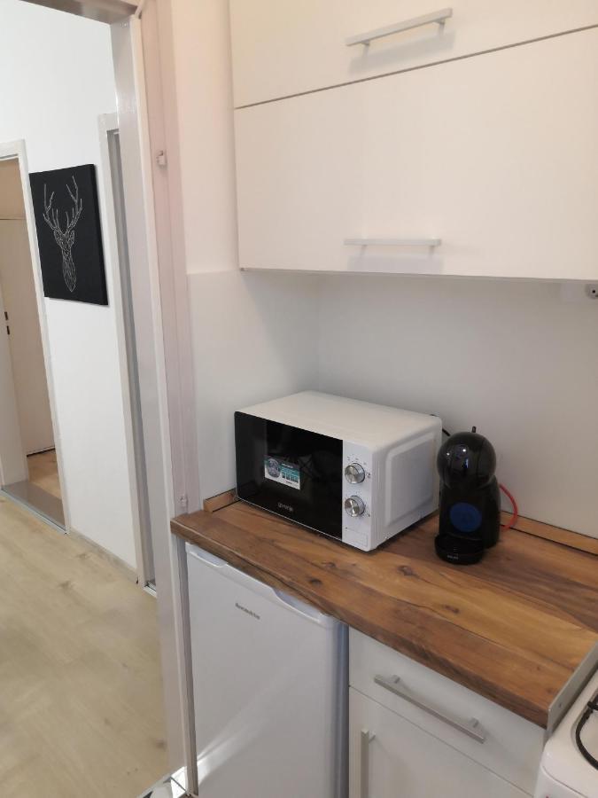 Belvarosi Lux Apartman Vásárosnamény المظهر الخارجي الصورة