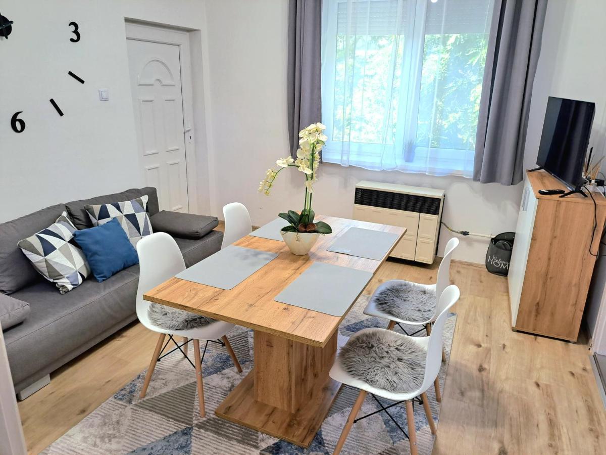 Belvarosi Lux Apartman Vásárosnamény المظهر الخارجي الصورة