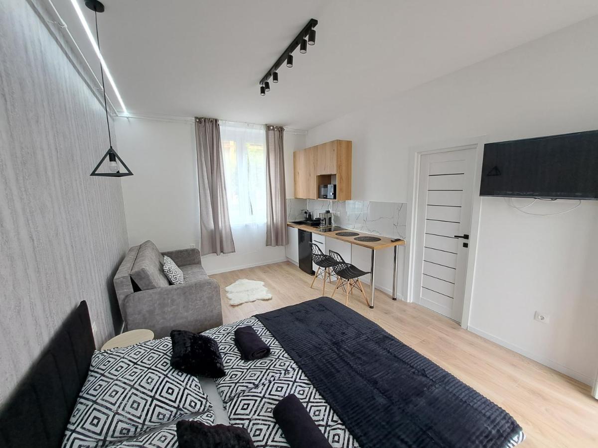 Belvarosi Lux Apartman Vásárosnamény المظهر الخارجي الصورة