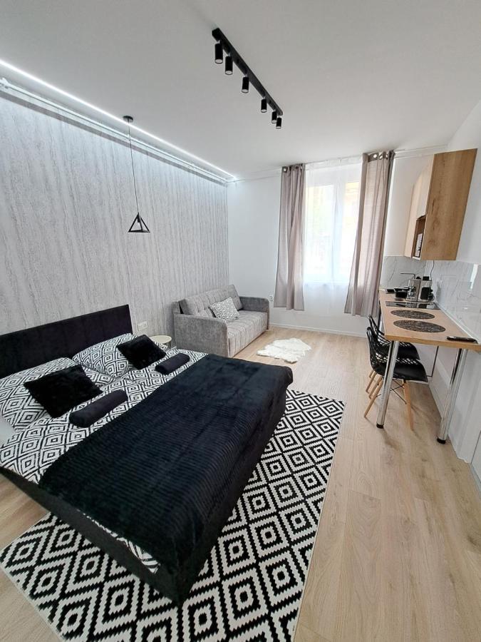 Belvarosi Lux Apartman Vásárosnamény المظهر الخارجي الصورة